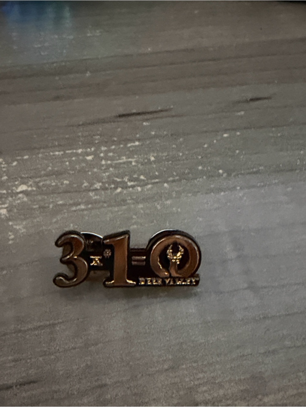 3x1 Gold and Black Pin